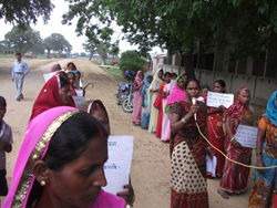 World Environment Day